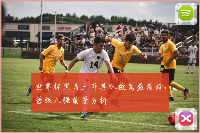 世界杯黑马土耳其队被高盛看好，晋级八强前景分析