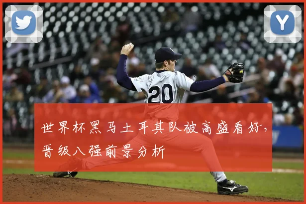 世界杯黑马土耳其队被高盛看好,晋级八强前景分析